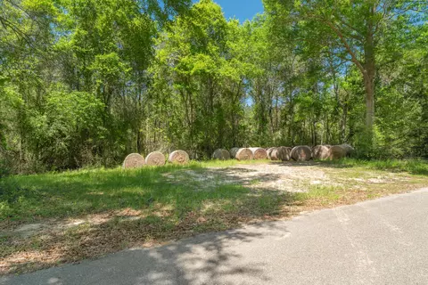 Parcel A Ms-42, Petal, MS 39564 photo 4
