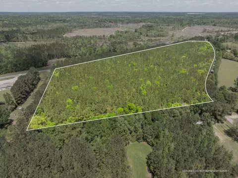 Parcel A Ms-42, Petal, MS 39564 photo 2