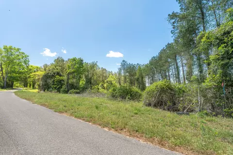 Parcel A Ms-42, Petal, MS 39564 photo 5