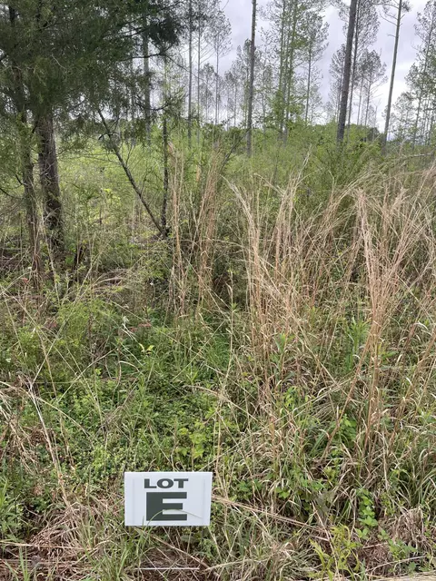 lot E River Bend Rd, Columbia, MS 39429 photo 2