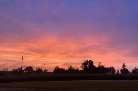 Other - 174 Doc Johnson Rd, Purvis, MS 39475 photo 12 of 13