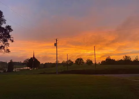 Other - 174 Doc Johnson Rd, Purvis, MS 39475 photo 13 of 13
