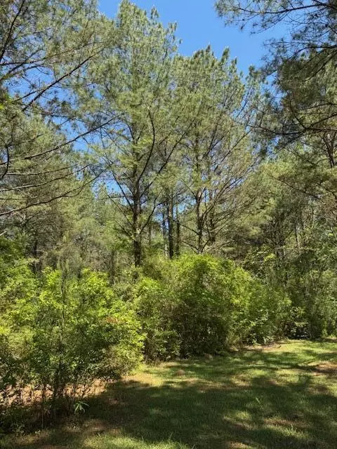 00 L V Clinton Rd, Hattiesburg, MS 39401