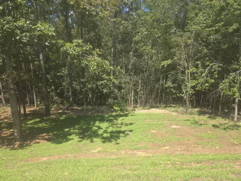 11 Firestone, Petal, MS 39465 photo 33