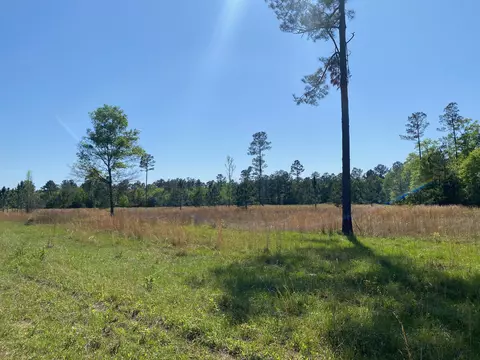 155 Go Go Rd, Poplarville, MS 39470