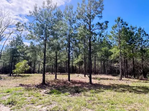 21 41 Ac Egg Farm Rd, Poplarville, MS 39470