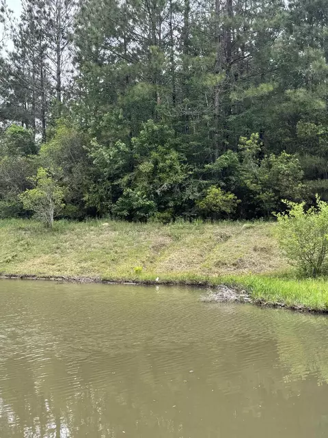 40 Jitterbug Bnd, Lumberton, MS 39455