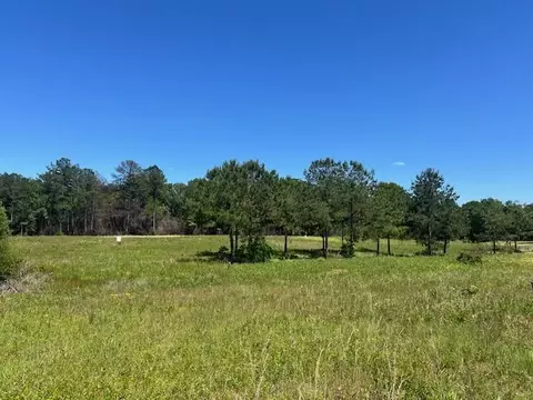 151 147 Joan, Ellisville, MS 39437