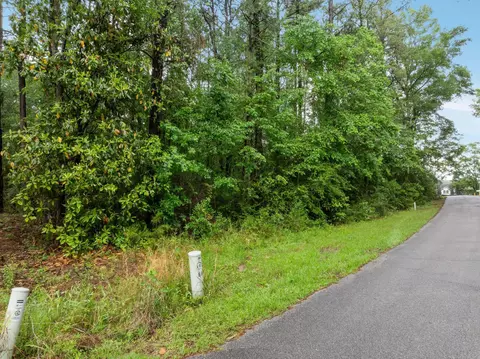 lot18 19 Lakeview Dr, Purvis, MS 39475 photo 2