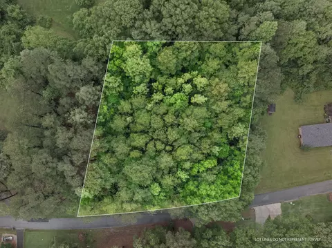 lot18 19 Lakeview Dr, Purvis, MS 39475