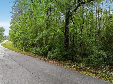 lot18 19 Lakeview Dr, Purvis, MS 39475 photo 3