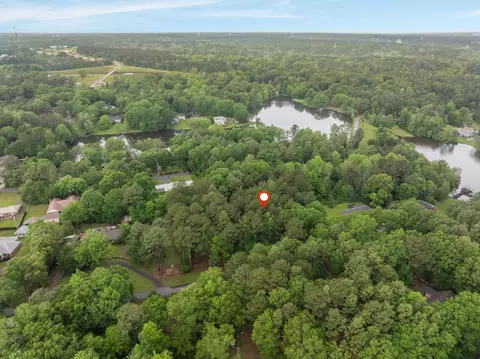 lot18 19 Lakeview Dr, Purvis, MS 39475 photo 8