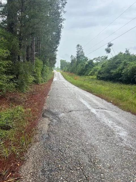 00 Forbes, Sandy Hook, MS 39478 photo 3