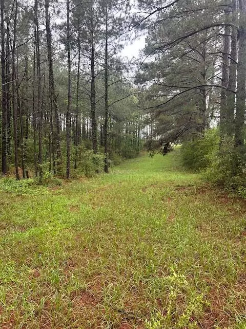 00 Forbes, Sandy Hook, MS 39478 photo 4