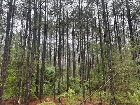 00 Forbes, Sandy Hook, MS 39478 photo 2