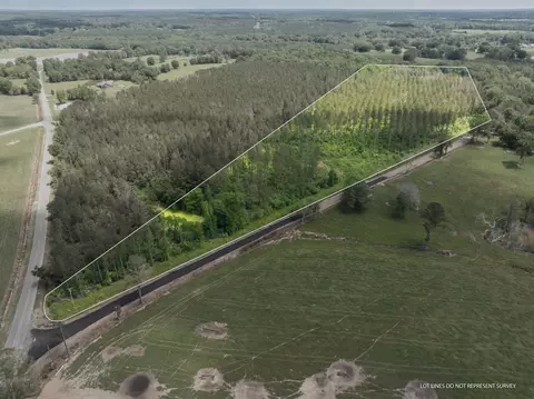 26 Acres Lawrence Wiggington Rd, Mount Olive, MS 39119