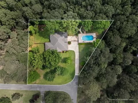 View/Area - 202 Poplar Loop, Petal, MS 39465 photo 3 of 4