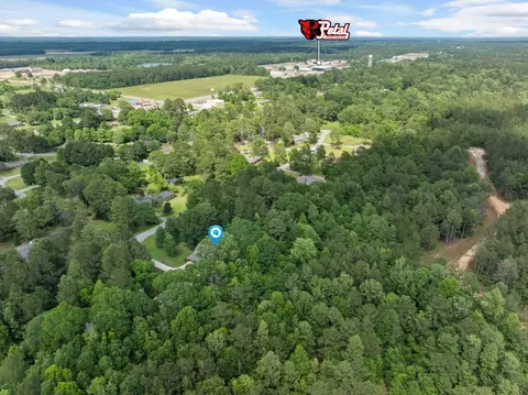 View/Area - 202 Poplar Loop, Petal, MS 39465 photo 2 of 4
