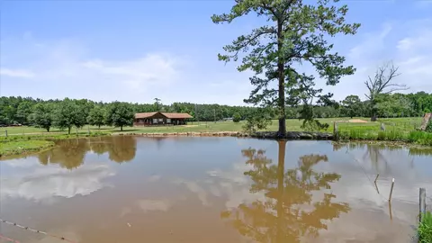 438 John Ford Home Rd, Sandy Hook, MS 39478 photo 37