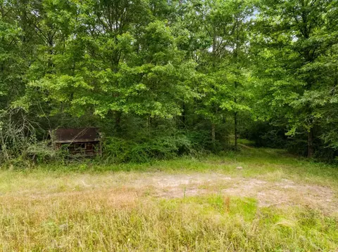 65 Rosemary Ln, Laurel, MS 39443 photo 22