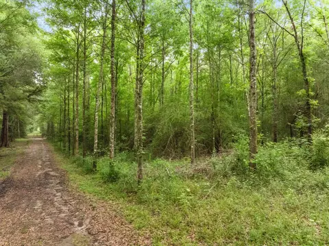 65 Rosemary Ln, Laurel, MS 39443 photo 17