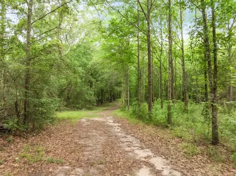 65 Rosemary Ln, Laurel, MS 39443 photo 16