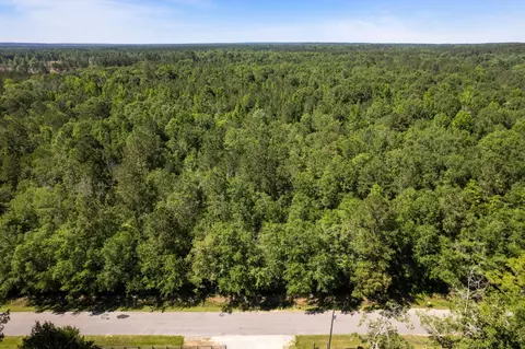 00 Ben Thompson Rd, Moselle, MS 39459 photo 9