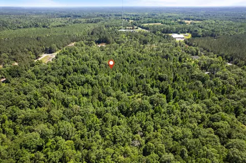 00 Ben Thompson Rd, Moselle, MS 39459 photo 13