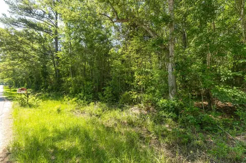 00 Ben Thompson Rd, Moselle, MS 39459 photo 3