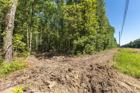 00 Ben Thompson Rd, Moselle, MS 39459 photo 6