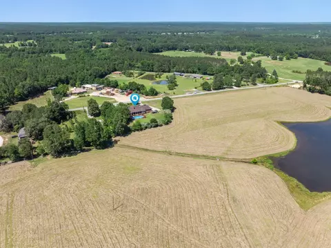 View/Area - 906 Co Rd 8, Stringer, MS 39481 photo 3 of 5
