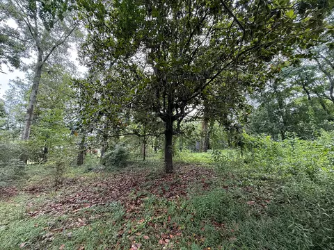lot On Hillcrest Ln, Purvis, MS 39475 photo 12