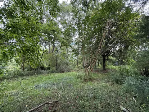 lot On Hillcrest Ln, Purvis, MS 39475 photo 11