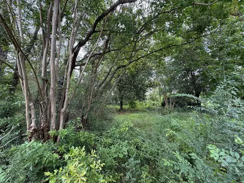 lot On Hillcrest Ln, Purvis, MS 39475 photo 4