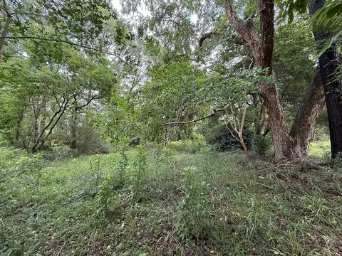 lot On Hillcrest Ln, Purvis, MS 39475 photo 10