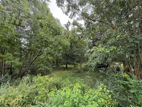 lot On Hillcrest Ln, Purvis, MS 39475 photo 3