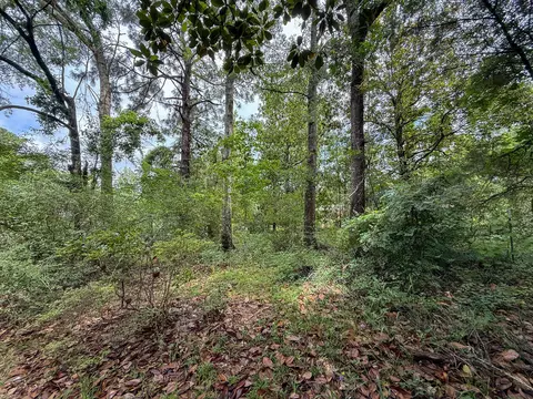 lot On Hillcrest Ln, Purvis, MS 39475 photo 13