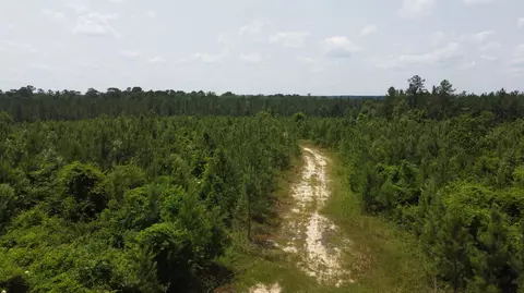 0 Pleasant Grove Rd, Laurel, MS 39443 photo 18