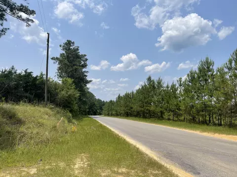 0 Pleasant Grove Rd, Laurel, MS 39443 photo 15