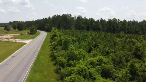 0 Pleasant Grove Rd, Laurel, MS 39443 photo 14