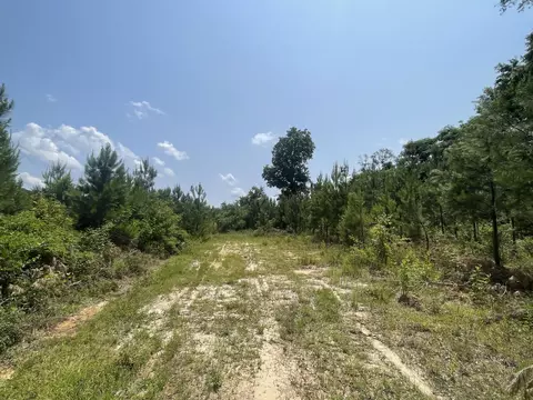 0 Pleasant Grove Rd, Laurel, MS 39443 photo 4