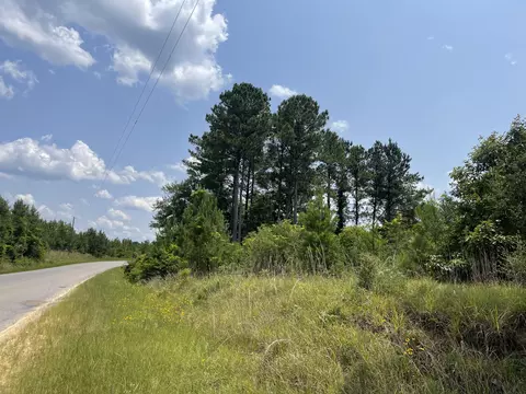 0 Pleasant Grove Rd, Laurel, MS 39443 photo 16
