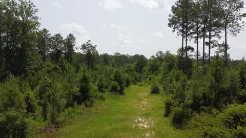 0 Pleasant Grove Rd, Laurel, MS 39443 photo 17