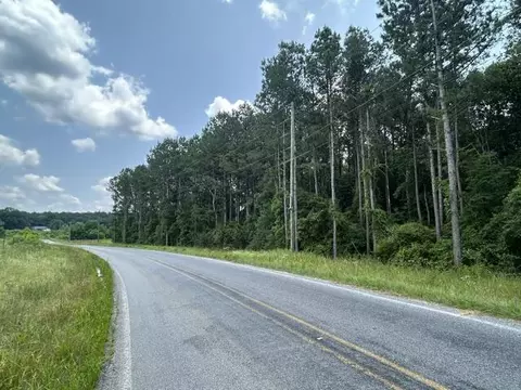 1 George Boutwell Road, Ovett, MS 39464