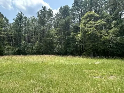 2 George Boutwell Road, Ovett, MS 39464