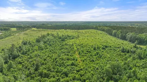 0 Scr 73-a, Mize, MS 39116 photo 59