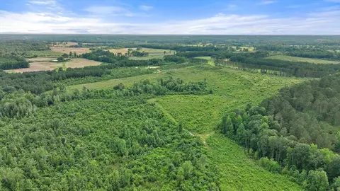 0 Scr 73-a, Mize, MS 39116 photo 12