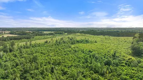 0 Scr 73-a, Mize, MS 39116 photo 60