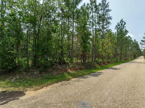 3 Acres Courtney Rd, Lumberton, MS 39455 photo 3