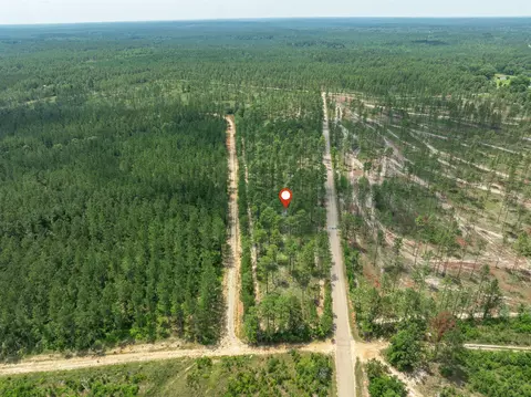 3 Acres Courtney Rd, Lumberton, MS 39455 photo 7